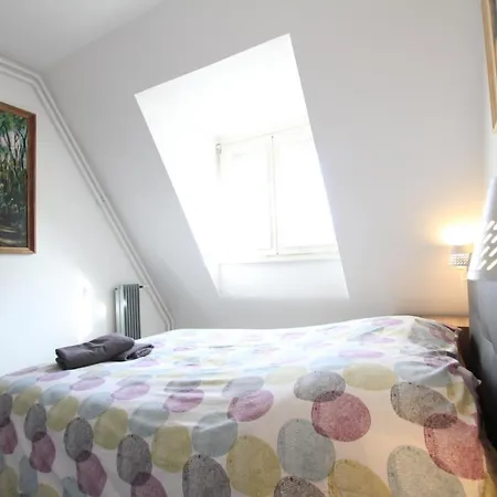 Апартаменты City Center - Pebe Art With Private Parking - Bookingalsace *
